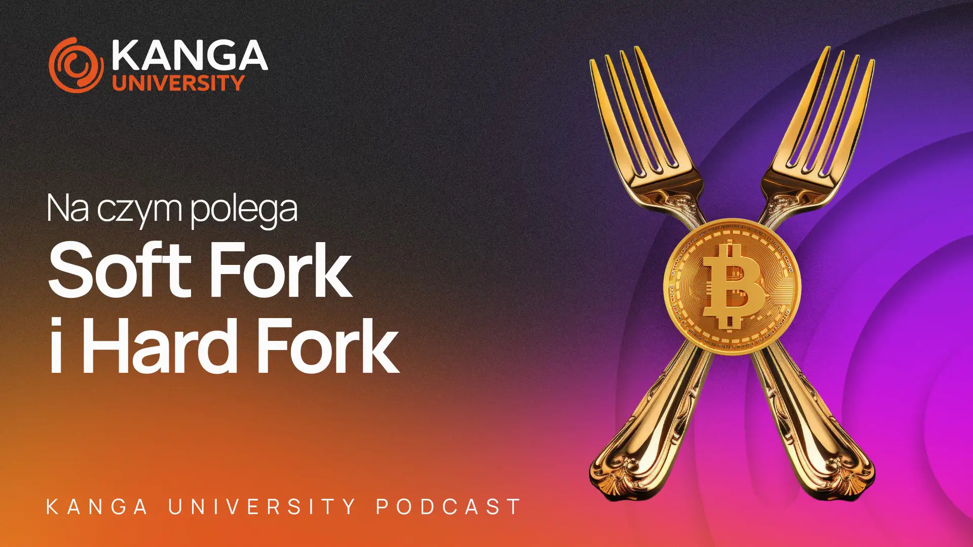 Kanga University Podcast #19 | Na czym polega Soft Fork i Hard Fork | Część I