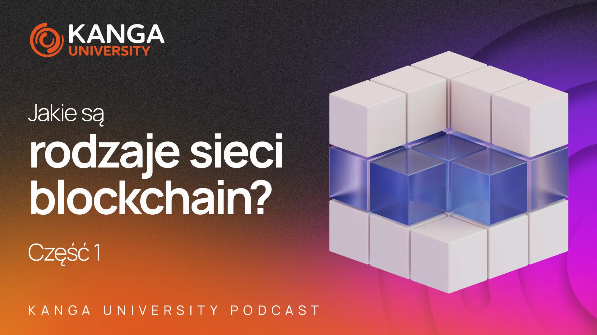 Kanga University Podcast #22 | Jakie są rodzaje sieci blockchain? | Część I